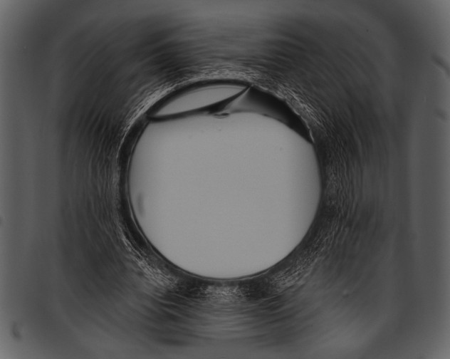 X0000097490440200803201534