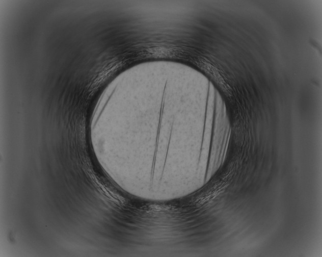 X0000097490442200803201534