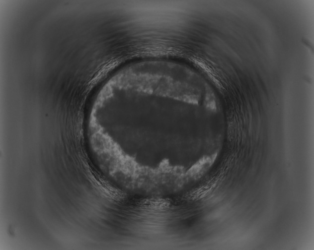 X0000097490443200803201534