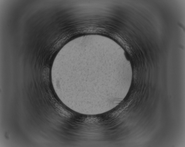 X0000097490445200803201534