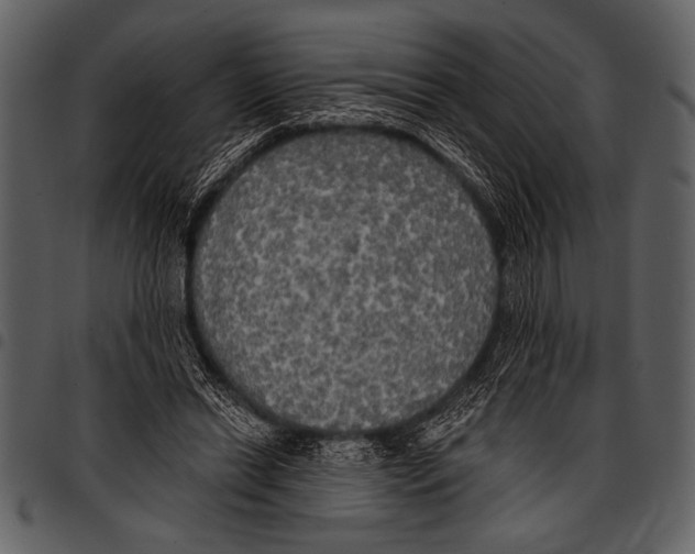 X0000097490446200803201534