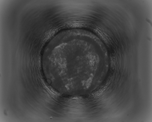 X0000097490447200803201534