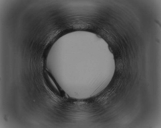 X0000097490448200803201534