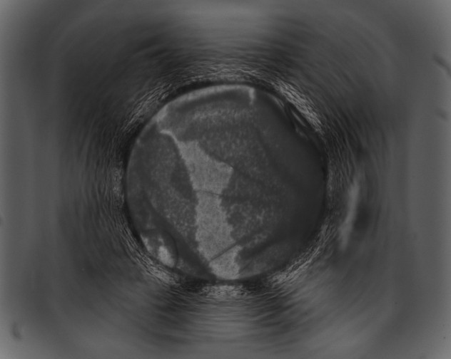 X0000097490449200803201534