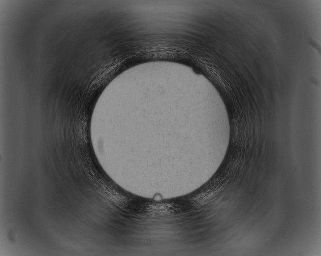 X0000097490450200803201534