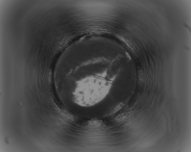 X0000097490451200803201534