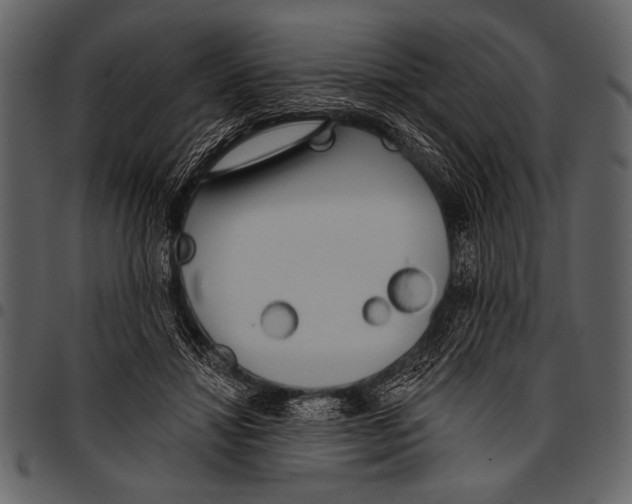 X0000097490452200803201534