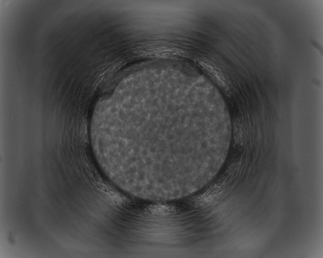 X0000097490453200803201534