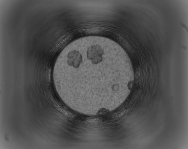 X0000097490454200803201534