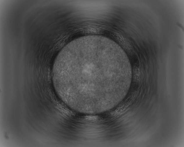 X0000097490457200803201534