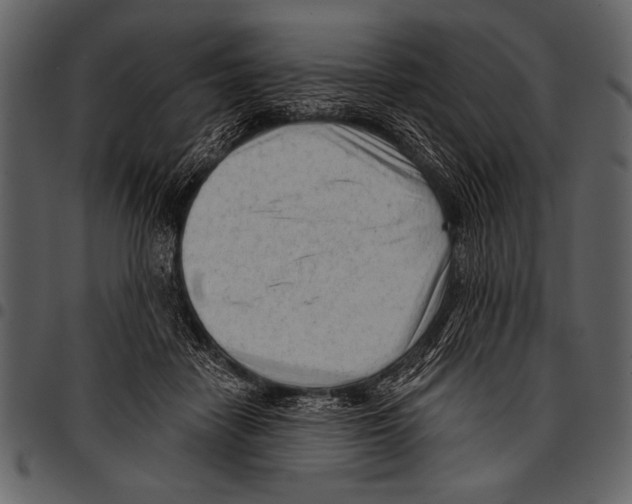 X0000097490458200803201534