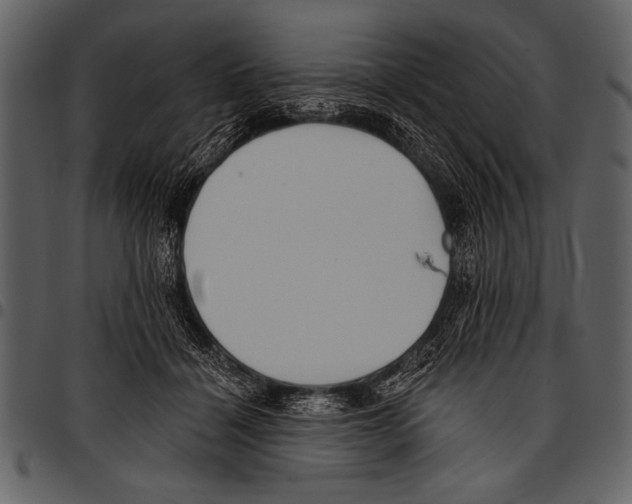 X0000097490460200803201534