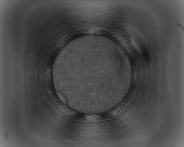 X0000097490461200803201534