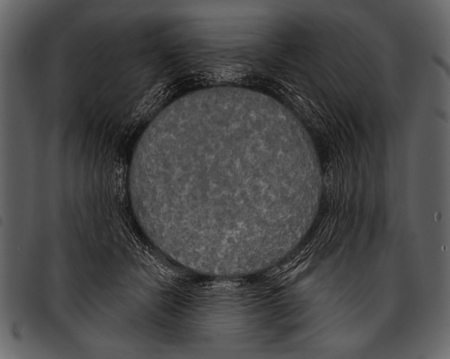 X0000097490462200803201534