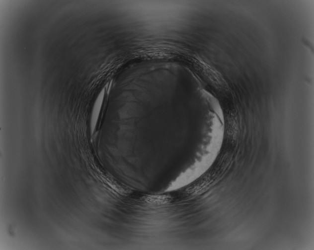 X0000097490465200803201534