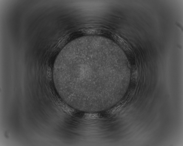 X0000097490469200803201534