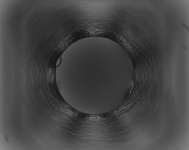 X0000097490471200803201534