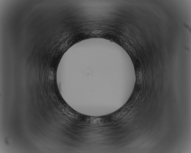 X0000097490472200803201534