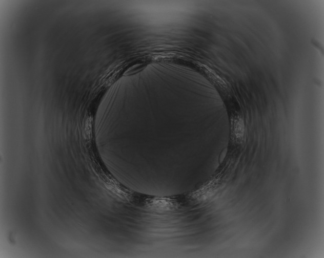 X0000097490475200803201535