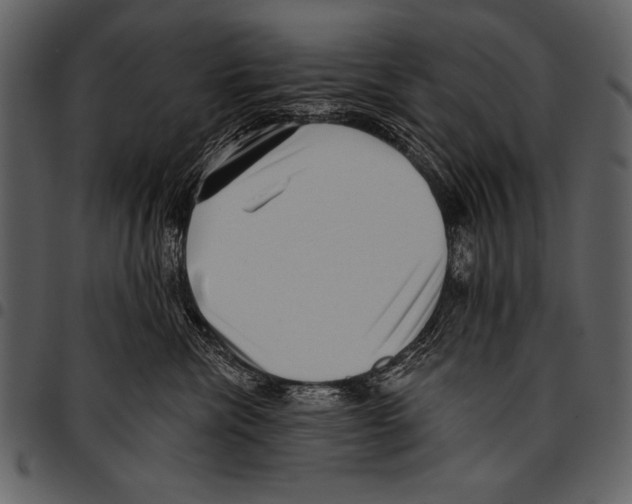 X0000097490476200803201535