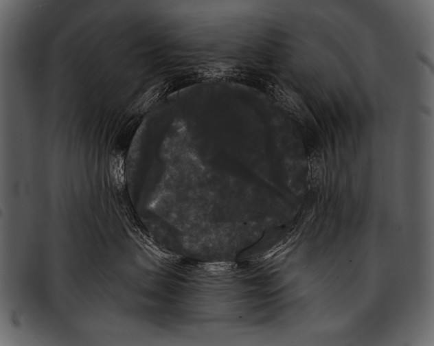 X0000097490479200803201535