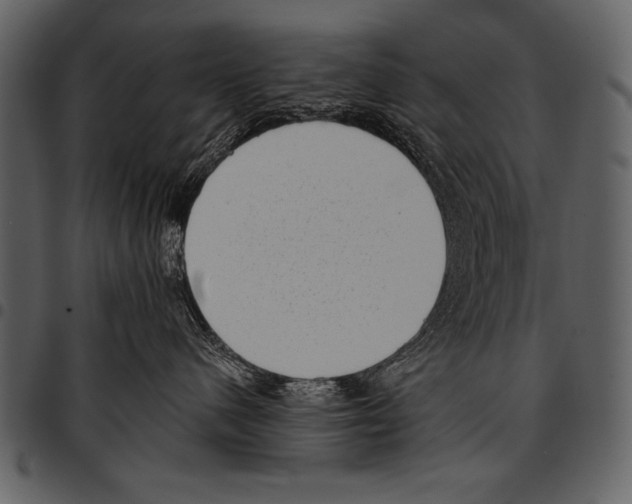 X0000097490480200803201535