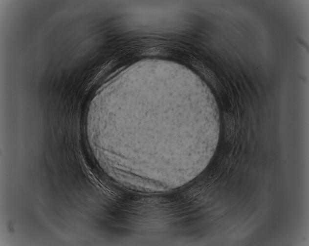 X0000097490482200803201534