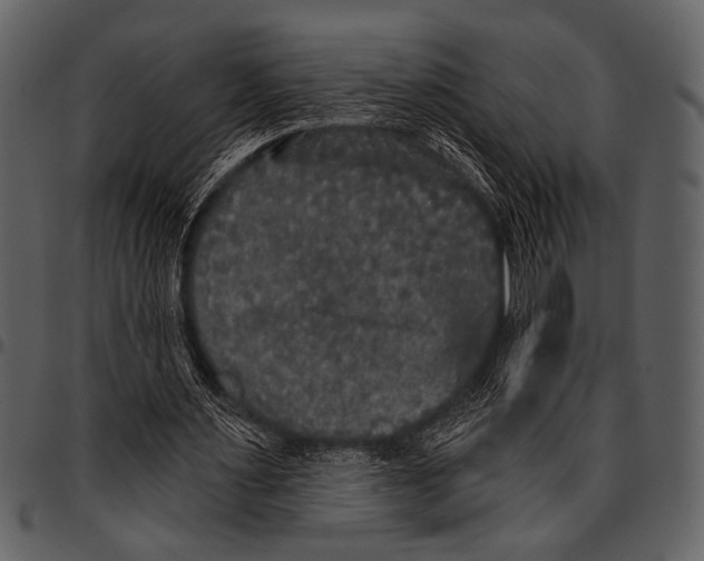 X0000097490483200803201534