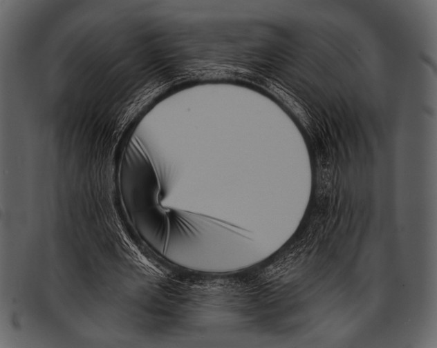 X0000097490485200803201534