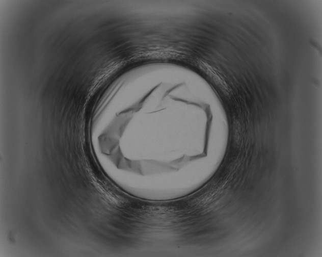 X0000097490486200803201534