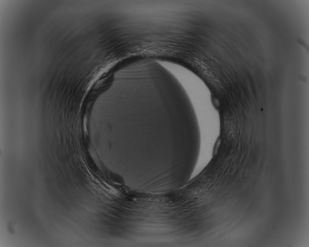 X0000097490488200803201534