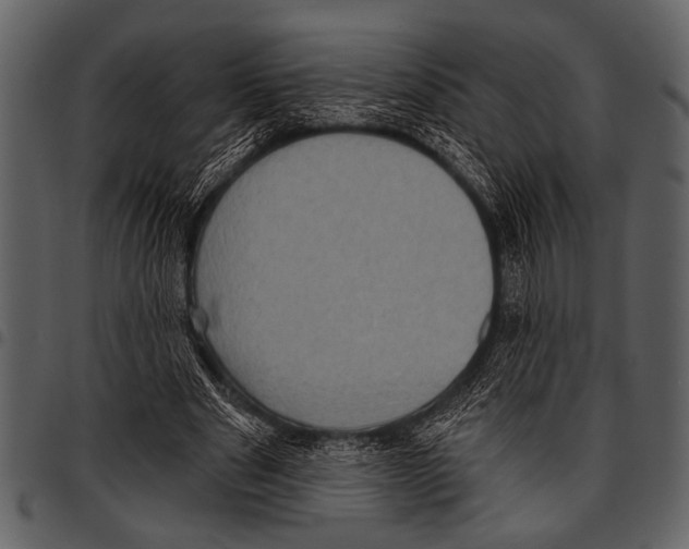 X0000097490489200803201534