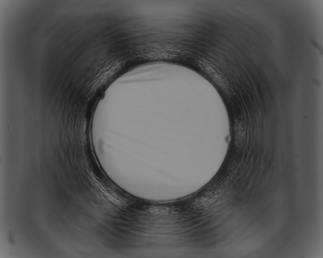 X0000097490490200803201534