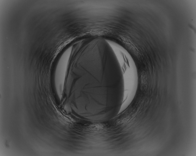 X0000097490492200803201534