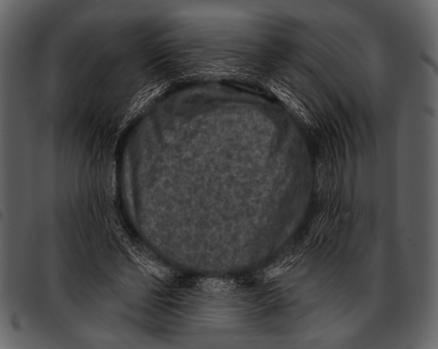 X0000097490494200803201534