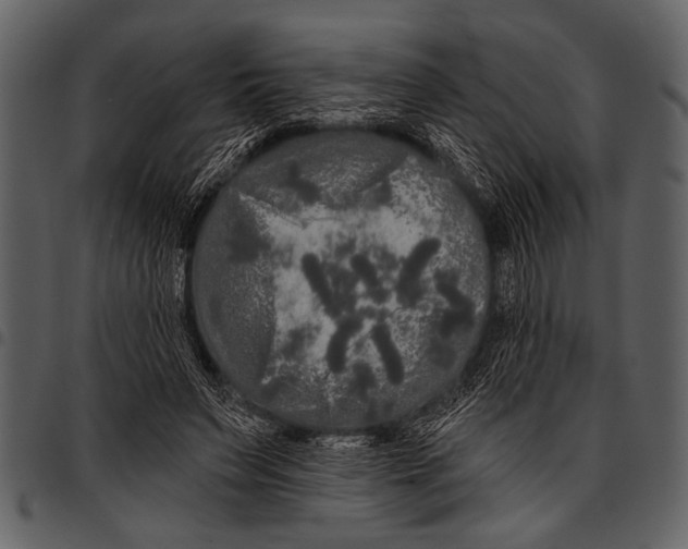 X0000097490495200803201534