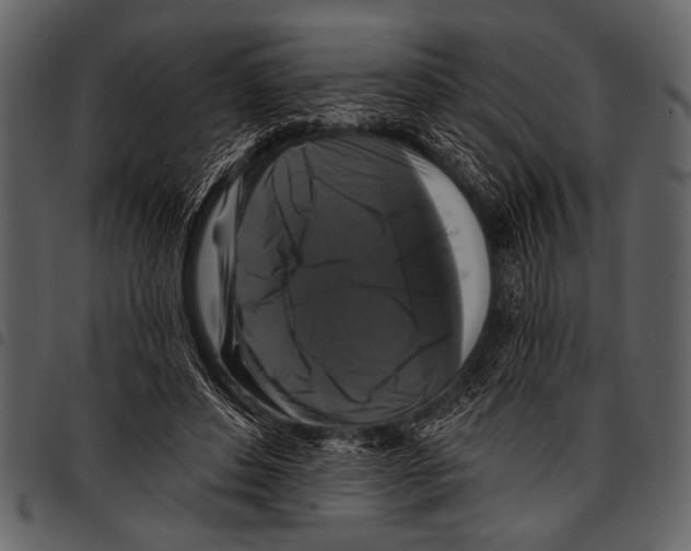 X0000097490496200803201534