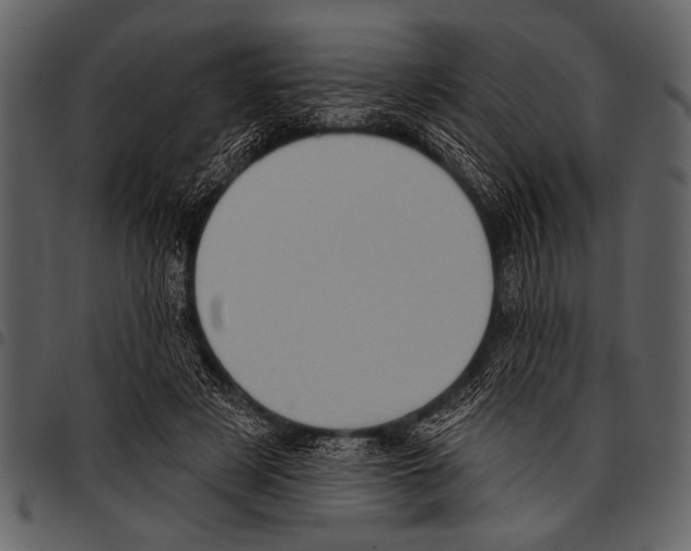 X0000097490497200803201534