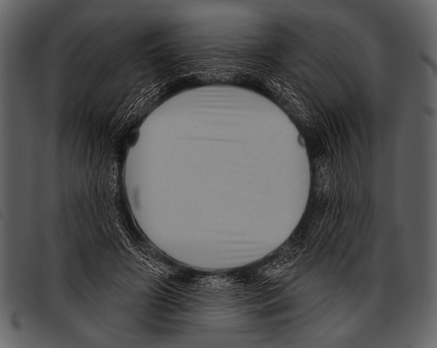 X0000097490498200803201534