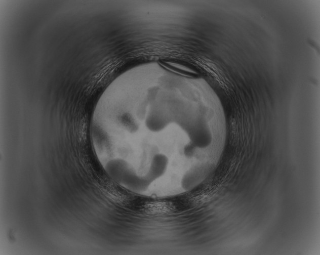 X0000097490499200803201534