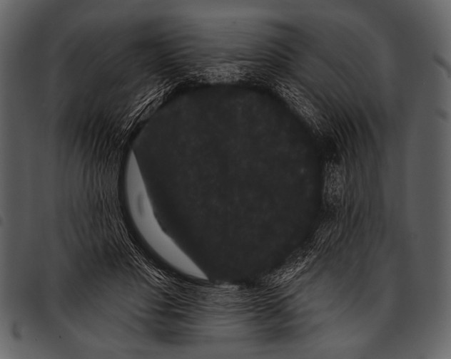 X0000097490501200803201534