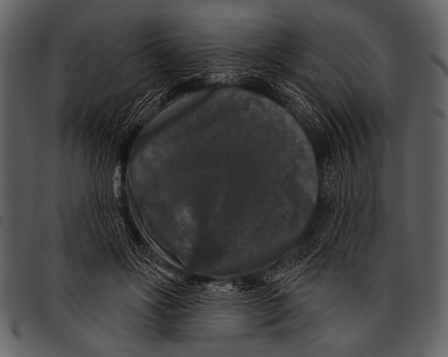 X0000097490502200803201534