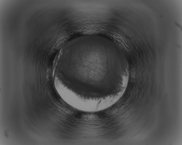 X0000097490503200803201534