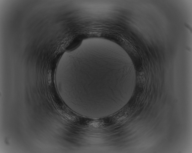 X0000097490504200803201534