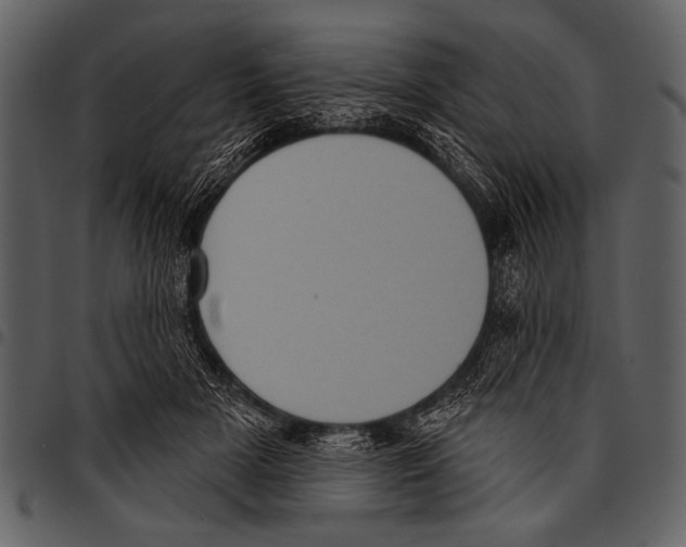 X0000097490505200803201534