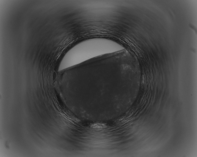 X0000097490508200803201534