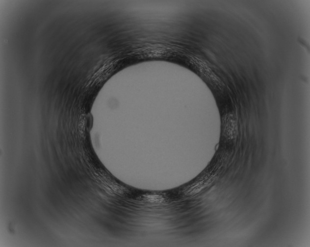 X0000097490509200803201534