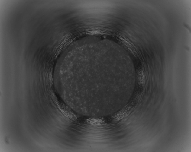 X0000097490512200803201534