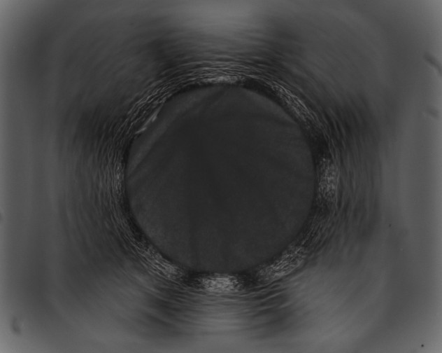 X0000097490513200803201534