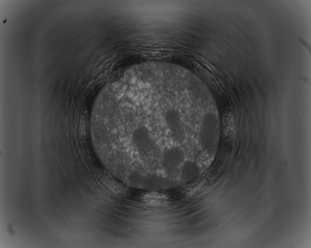 X0000097490515200803201533